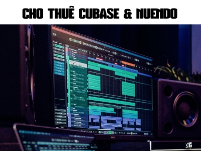 CHO THUÊ CUBASE & NUENDO BẢN QUYỀN