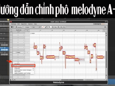 HƯỚNG DẪN CHỈNH PHÔ TRÊN MELODYNE HIỆU QUẢ P1