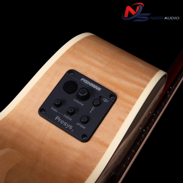 Guitar Seagull Performer CW Mini Jumbo HG Presys II