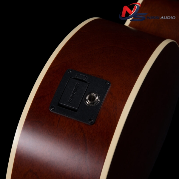 Guitar Seagull S12 CH CW Spruce Sunburst GT Presys II