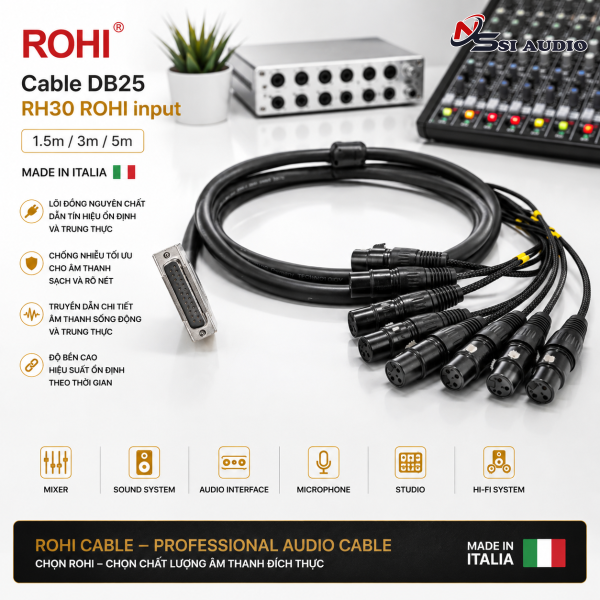 Cable DB25 RH30 ROHI INPUT
