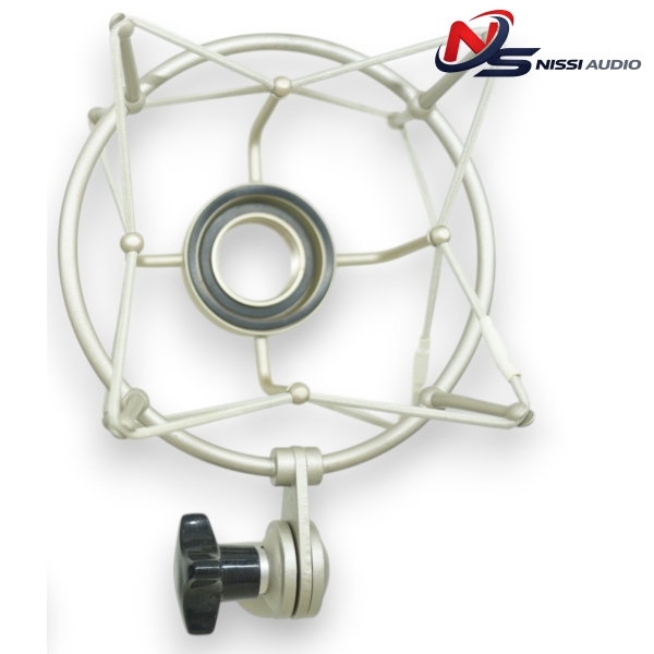 Shock mount RH4 microphone