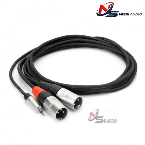 Hosa Pro Stereo Breakout Rean 3.5mm Trs To Dual XLR3m